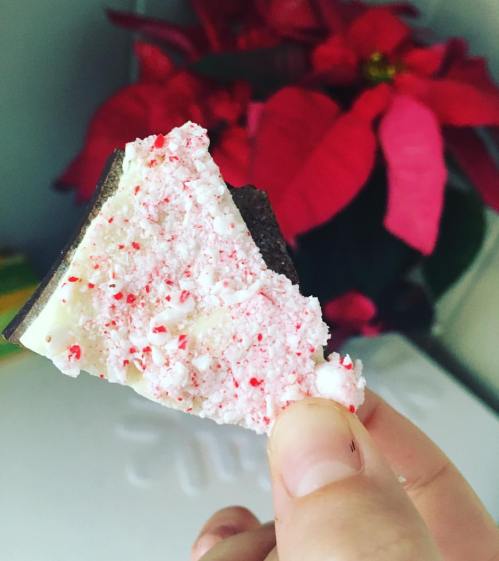 12371131_10207069418070674_3047505519158374543_o